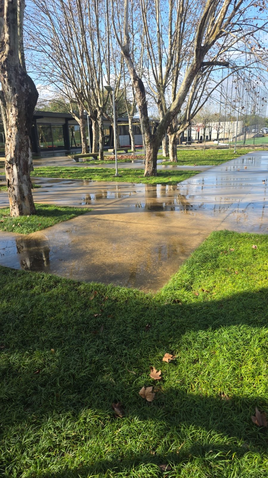 Jardim Depois da Manutenção